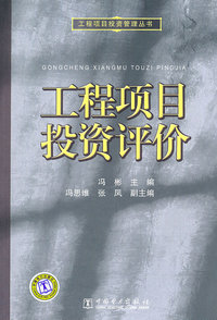 工程项目投资评价