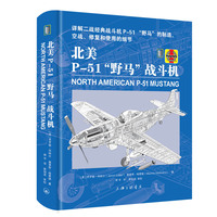 北美P-51“野马”战斗机