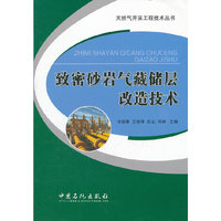 致密砂岩气藏储层改造技术