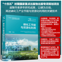 磷科学前沿与技术丛书--磷化工节能与资源化利用