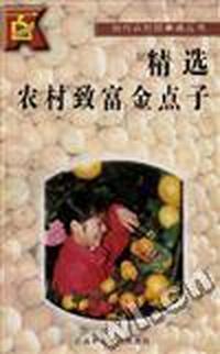 精选农村致富金点子