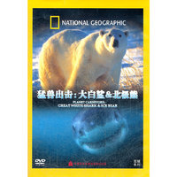 动物世界 猛兽出击:大白鲨&北极熊(DVD)