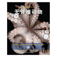 无脊椎动物