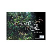 与大自然捉迷藏