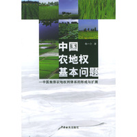 中国农地权基本问题:中国集体农地权利体系的形成与扩展