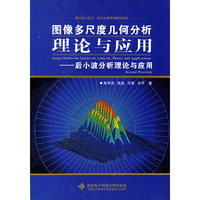 图像多尺度几何分析理论与应用(Image Multiscale Geometric Analysis