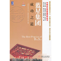 蓝星集团成功之道（国务院发展研究中心、中国企业联合会、清华大学联合项目）