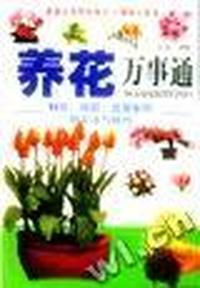 血型与属相