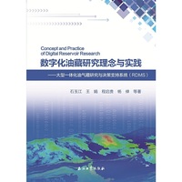 数字化油藏研究理念与实践