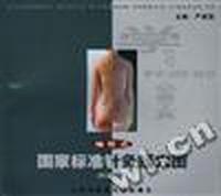 袖珍式--国家标准针灸经穴图(附说明书)