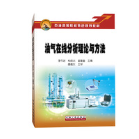 油气在线分析理论与方法