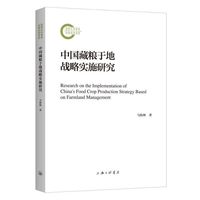 中国藏粮于地战略实施研究