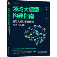 领域大模型构建指南：通用大模型垂直化的方法与实践     陈峰    RAG DeepSeek LangChain大模型