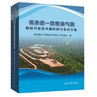 低渗透油气田勘探开发文集（2019年上卷）