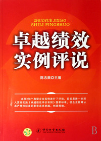 卓越绩效实例评说
