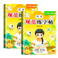 斗半匠小学六年级下册同步规范练字帖 人教部编版语文课本同步临摹字帖 笔顺规范写字练字听写默写本
