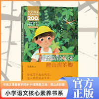 爬山虎的脚 四年级上册 课本同步课外阅读 小学语文核心素养书系