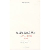 巴塔哥尼亚高原上