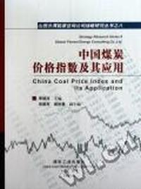 中国煤炭价格指数及其应用