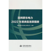 国网蒙东电力2022年度典型违章图册