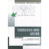 东道国国际资本流入结构的成因与管理——中青年经济学家文库