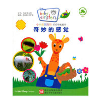 小小爱因斯坦.乐乐学纸板书 奇妙的感觉