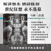 险中起舞 迈向更高舞台的冒险人生  揭秘叛逆舞神的创作密码 一部颠覆传统的艺术冒险史
