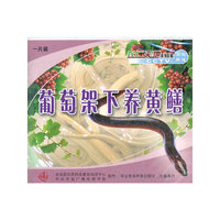 葡萄架下养黄鳝(VCD)