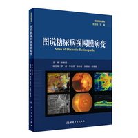 图说糖尿病视网膜病变（图说眼科系列）