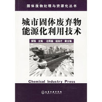 固体废物处理与资源化丛书--城市固体废弃物能源化利用技术