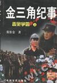 金三角纪事(上)