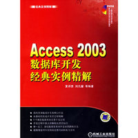 ACCESS 2003 数据库开发经典实例精解