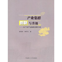 产业集群创新与升级