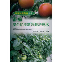 番茄安全优质高效栽培技术
