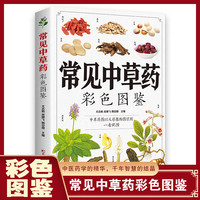 常见中草药彩色图鉴 中药材百科全书中草药彩图大全书 中草药全图鉴中医养生书籍基础入门零基础自学中医入门畅销书 中医养生防病手册健康养生食谱菜谱食疗养生快速识别图本原版全套正版李时珍中草药彩图大全