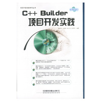 C++Builder项目开发实践