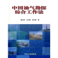 中国油气勘探综合工作法