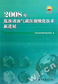 2008年低渗透油气藏压裂酸化技术新进展