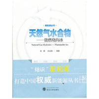 天然气水合物:flammable ice