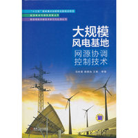 大规模风电基地网源协调控制技术