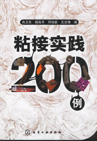 粘结实践200例