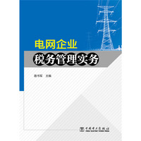 电网企业税务管理实务