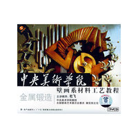 中央美术学院壁画系材料工艺教程金属锻造(3VCD)