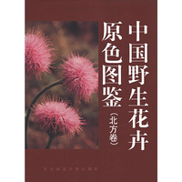 中国野生花卉原色图鉴:北方卷