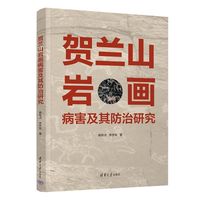 贺兰山岩画病害及其防治研究