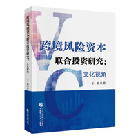跨境风险资本联合投资研究