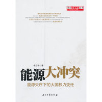 能源大冲突-能源失序下的大国权力变迁