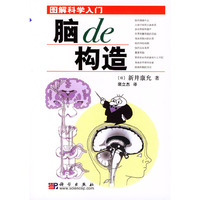 脑的构造