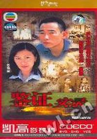 鉴证实录 十九集香港电视连续剧(DVD)