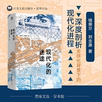 现代化的迷途